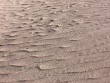 Great Sand Dunes 028